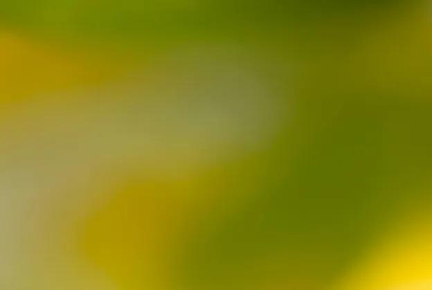 0326 SpringFeverSale PLPVisNav