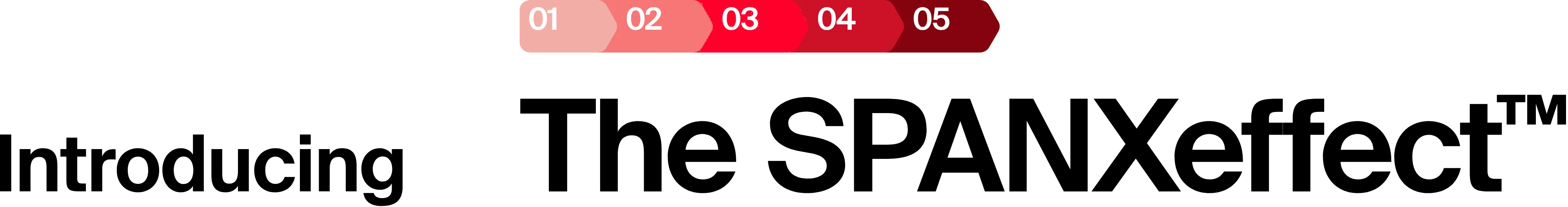 Introducing The SPANXeffect Desktop