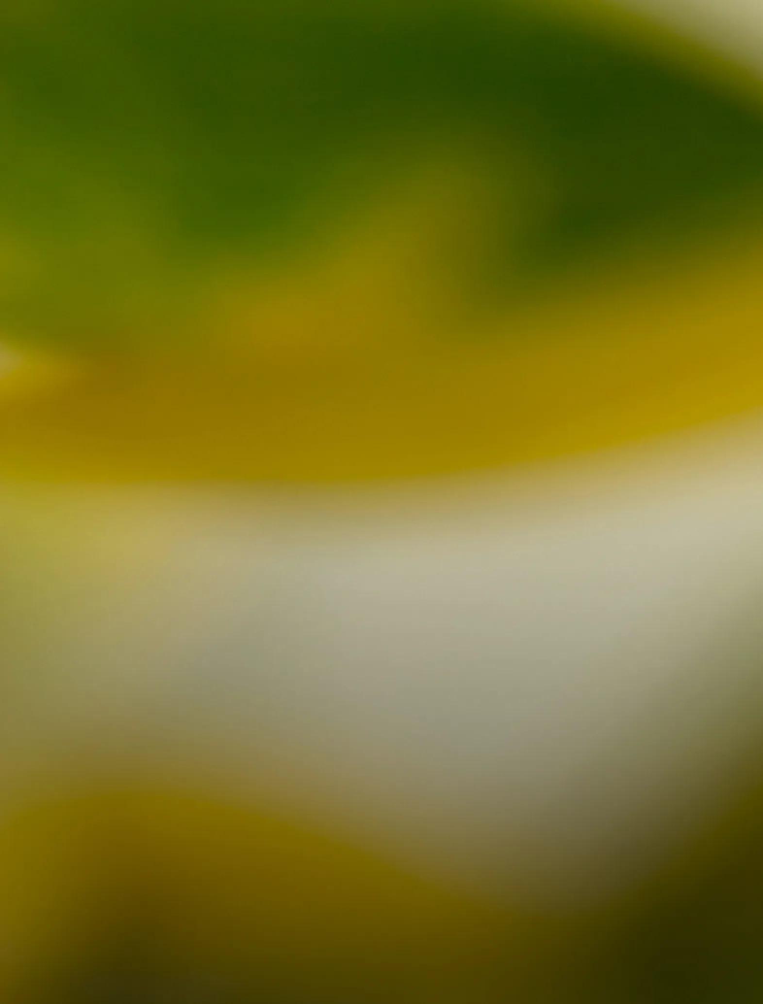 0326 SpringFeverSale HPBanner Mobile