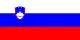 Slovenia flag