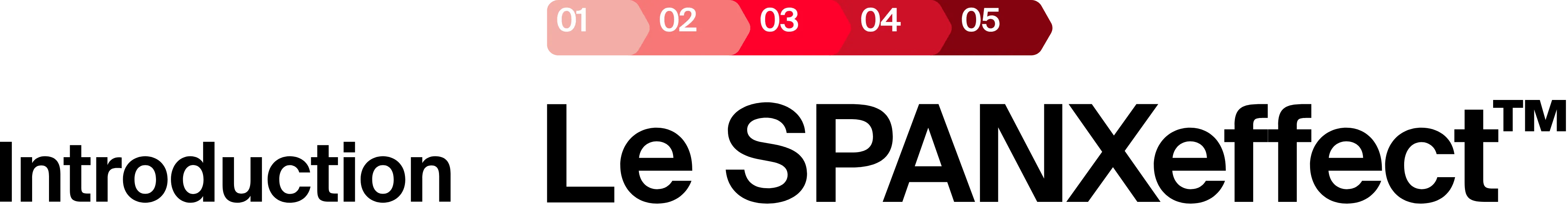 Introduction Le SPANXeffect Desktop Fr